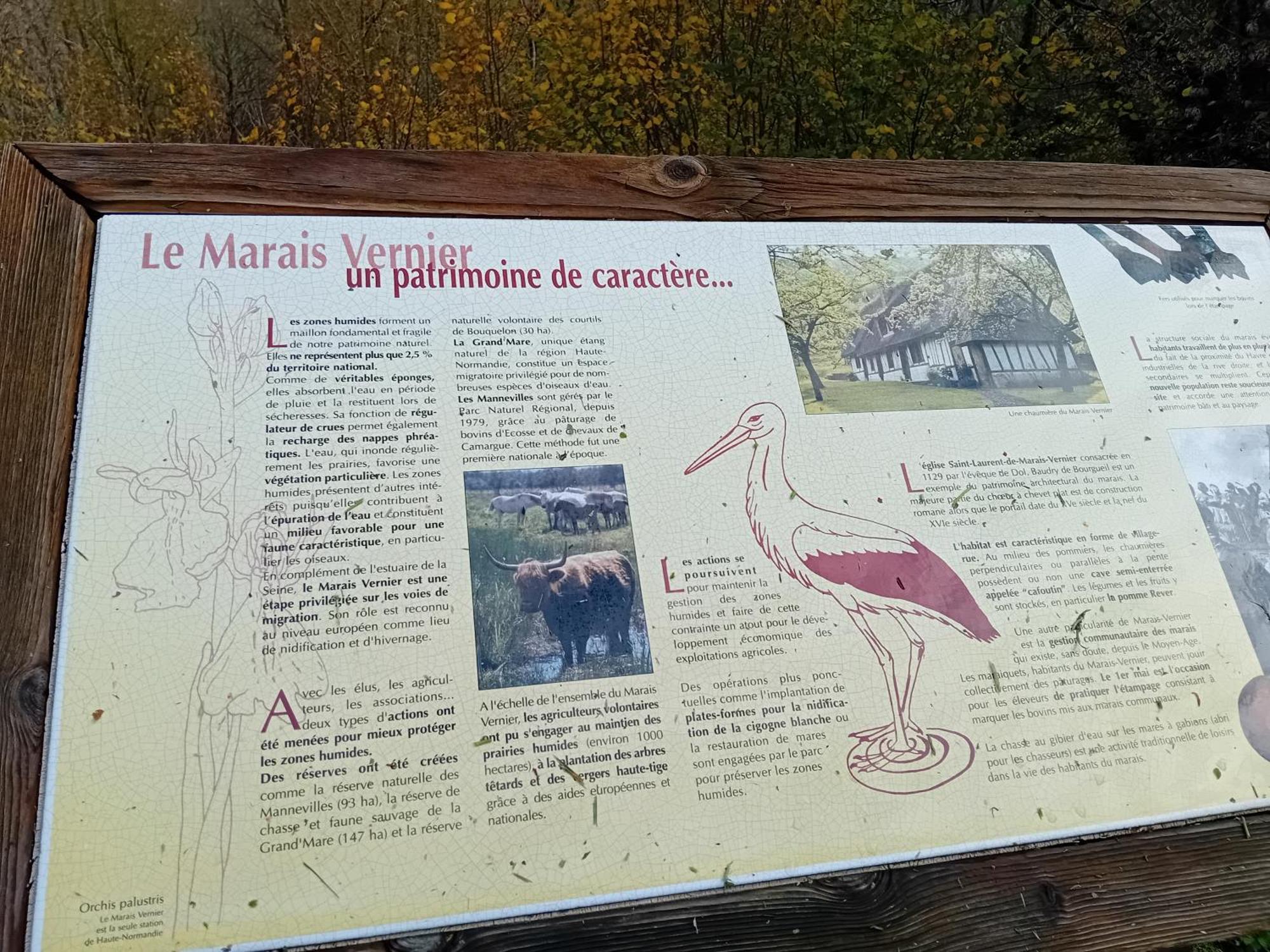 Gite Du Roy Marais-Vernier Екстер'єр фото